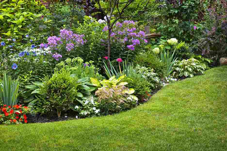 Landscape Designs