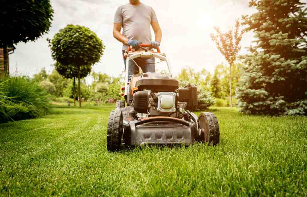 Maintenance Weed Control