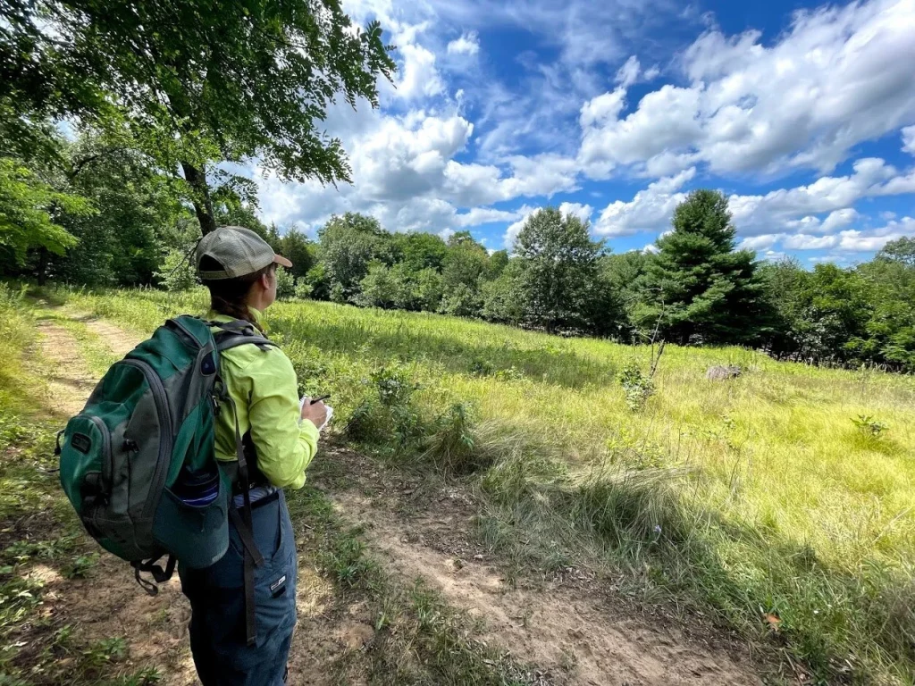 What Are Botanical Surveys